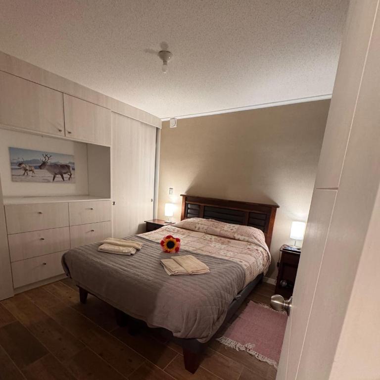 Comodo departamento en sector aerodromo - Apartamento de 2 dormitorios - 1