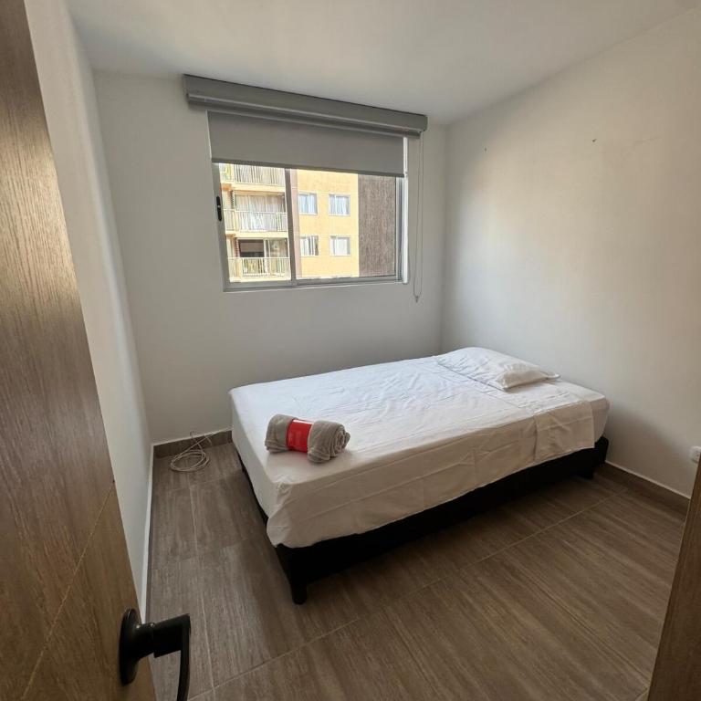 Apartamento moderno - Excelente ubicación - Apartamento de 3 dormitorios - 4