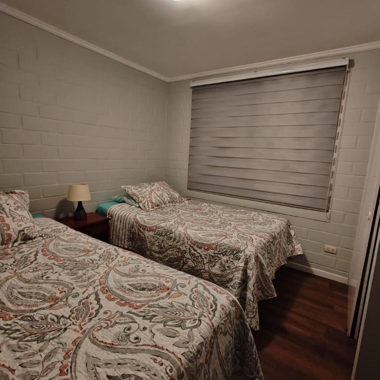 Casa bologna serena - Two-Bedroom House - 28