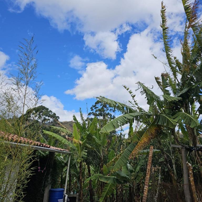 Arco Iris Vilcabamba Farm - Apartamento de 2 dormitorios - 9