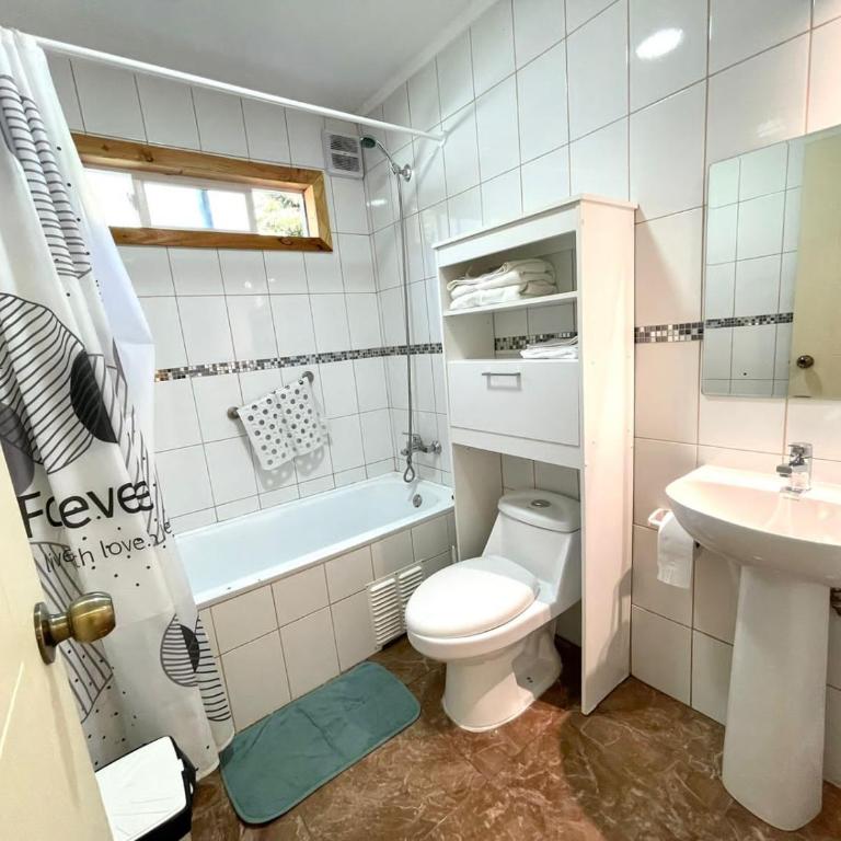ApartHotel Cuatro Estaciones Frutillar Bajo - One-Bedroom Apartment - 3