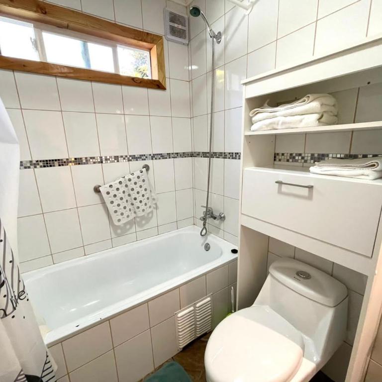 ApartHotel Cuatro Estaciones Frutillar Bajo - One-Bedroom Apartment - 21