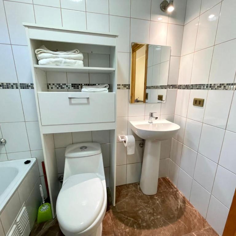 ApartHotel Cuatro Estaciones Frutillar Bajo - One-Bedroom Apartment - 18