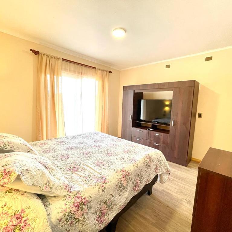 ApartHotel Cuatro Estaciones Frutillar Bajo - One-Bedroom Apartment - 5