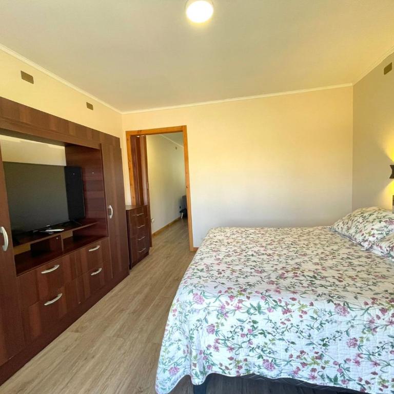 ApartHotel Cuatro Estaciones Frutillar Bajo - One-Bedroom Apartment - 9