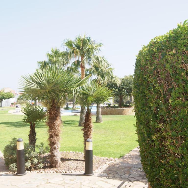 Residencial Sierra de Irta - Apartamento de 2 dormitorios - 18
