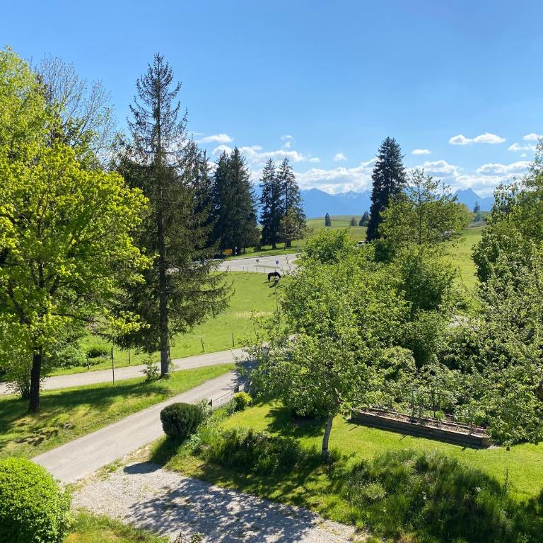 Hof & See Apartment I Bergblick I Balkon I Parken - Appartamento con 2 Camere da Letto - 27
