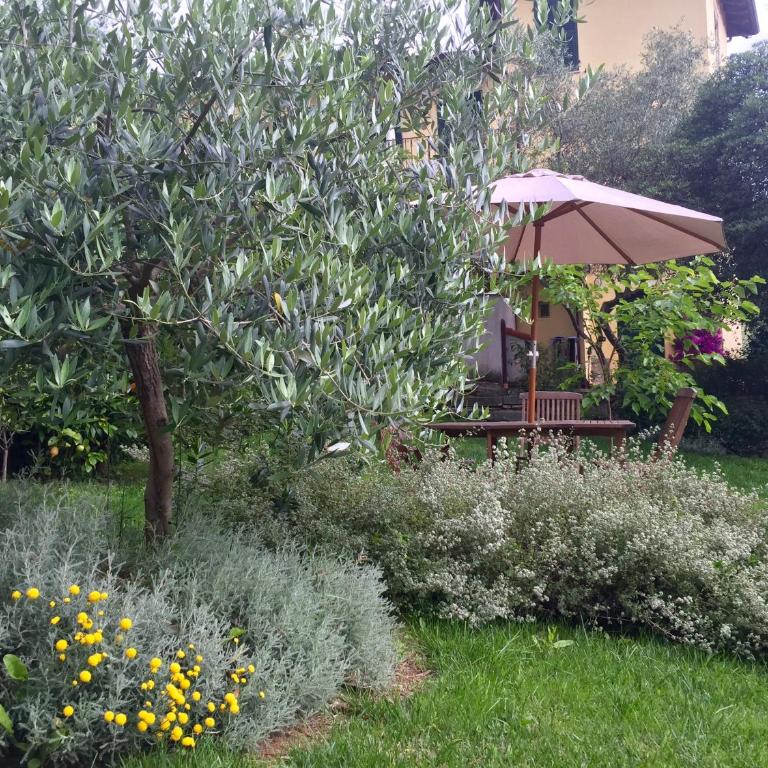 Casa Del Cavaliere - One-Bedroom Apartment with Garden (2 Adults) - 25
