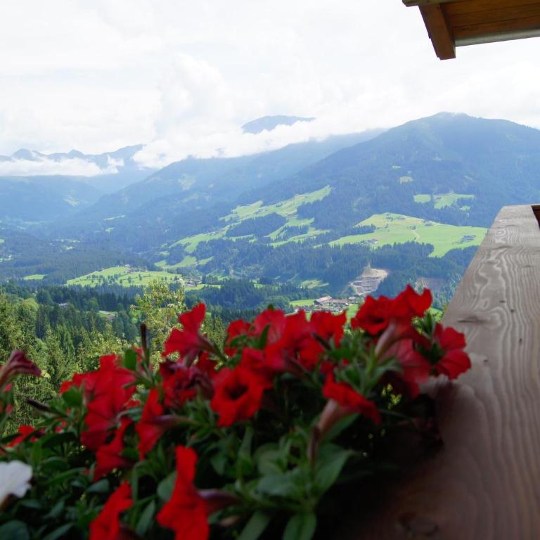 Chalet in Hopfgarten - Superior Chalet - 25