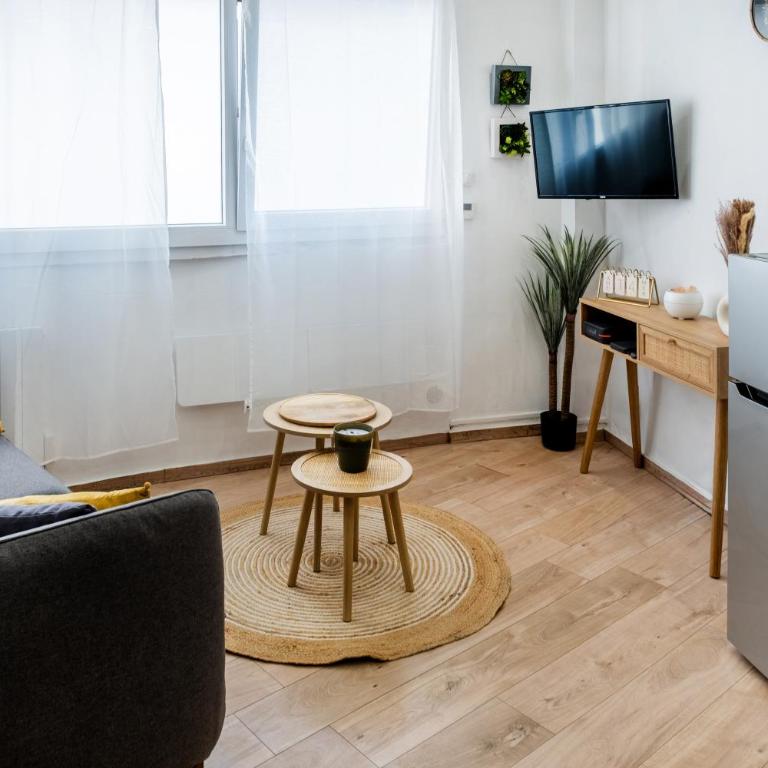 Le tilleul de LOURDES - Appartement 1 Chambre - 1