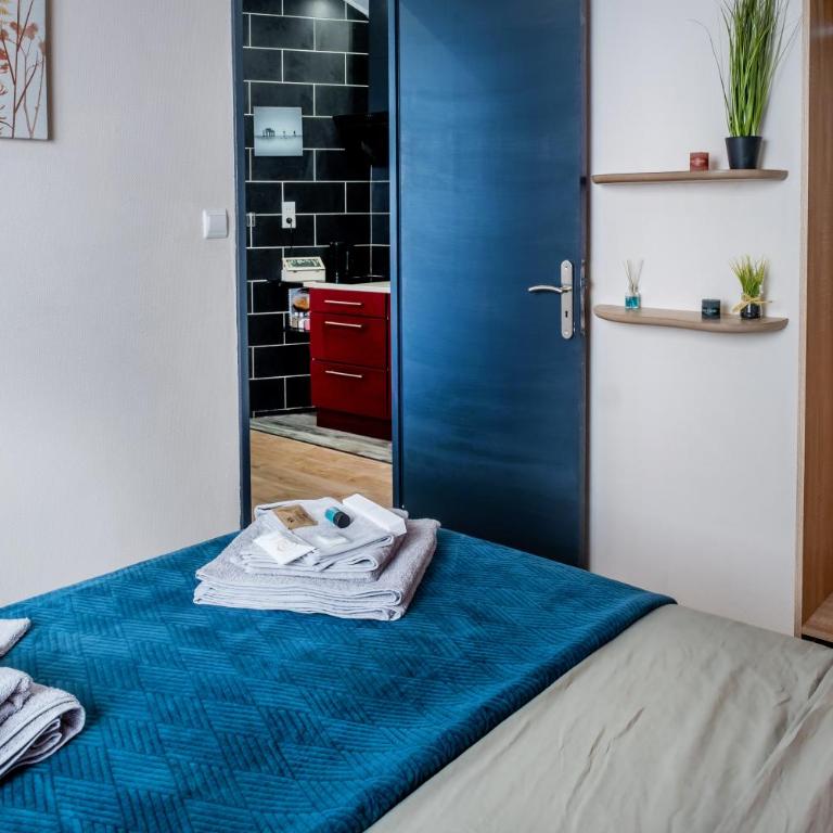 Le tilleul de LOURDES - Appartement 1 Chambre - 4