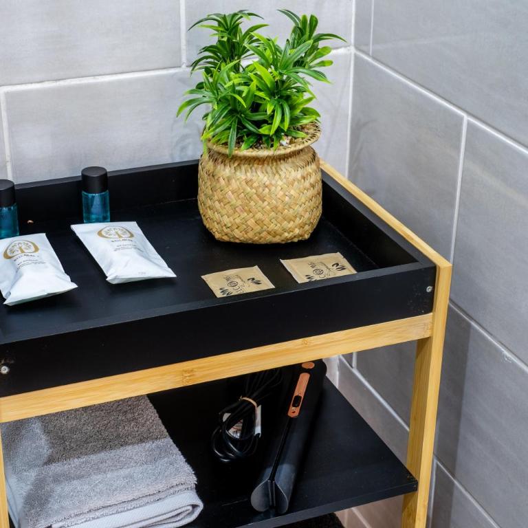 Le tilleul de LOURDES - Appartement 1 Chambre - 15