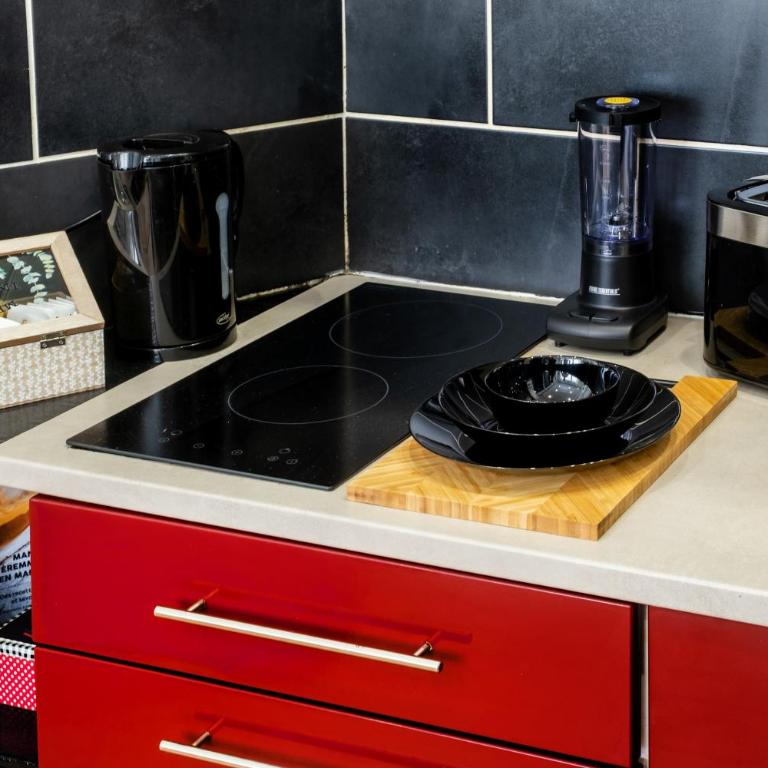 Le tilleul de LOURDES - Appartement 1 Chambre - 18