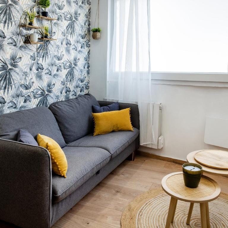 Le tilleul de LOURDES - Appartement 1 Chambre - 2