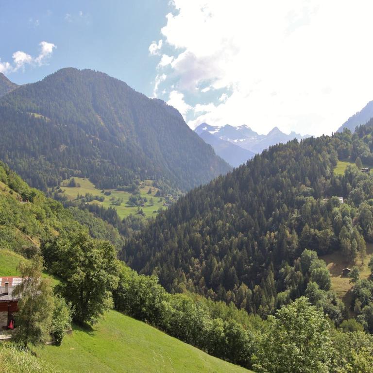 Chalet in Wiler near Ski Lift & Views - Chalet 2 Chambres - 15