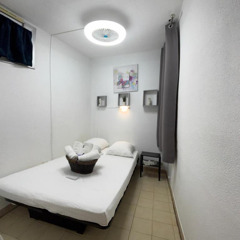 L'escale - Appartement 1 Chambre - 17