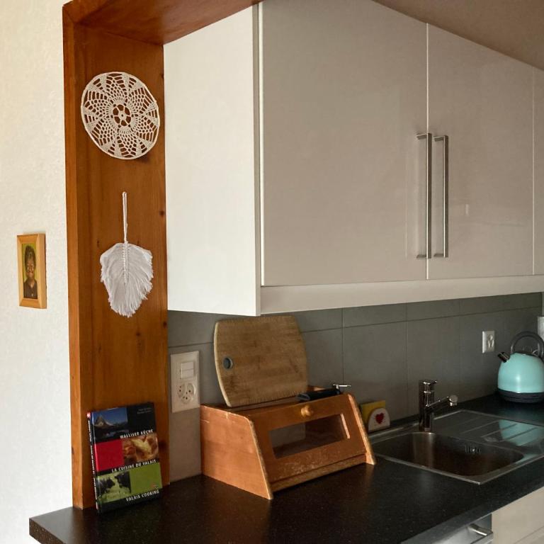 A 5mn de Sion - Appartement Havre de Paix - Apartment mit 2 Schlafzimmern - 18