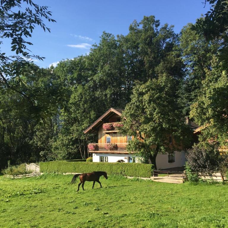 Special Apartment in Walchen with Private Terrace - Apartment mit 3 Schlafzimmern - 4