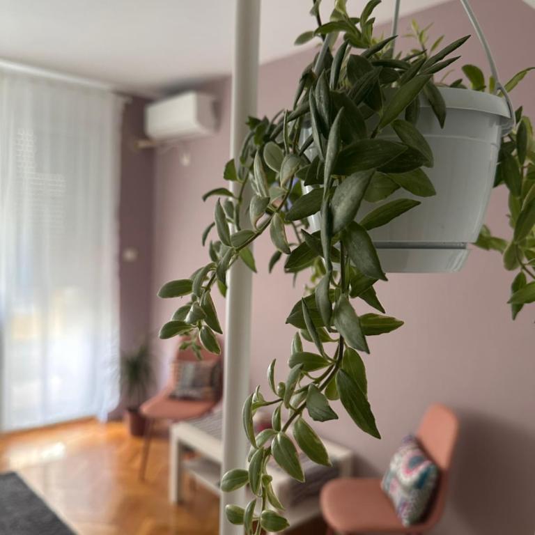 Studio Apartment Laganini - Apartman sa 1 Spavaćom Sobom - 3