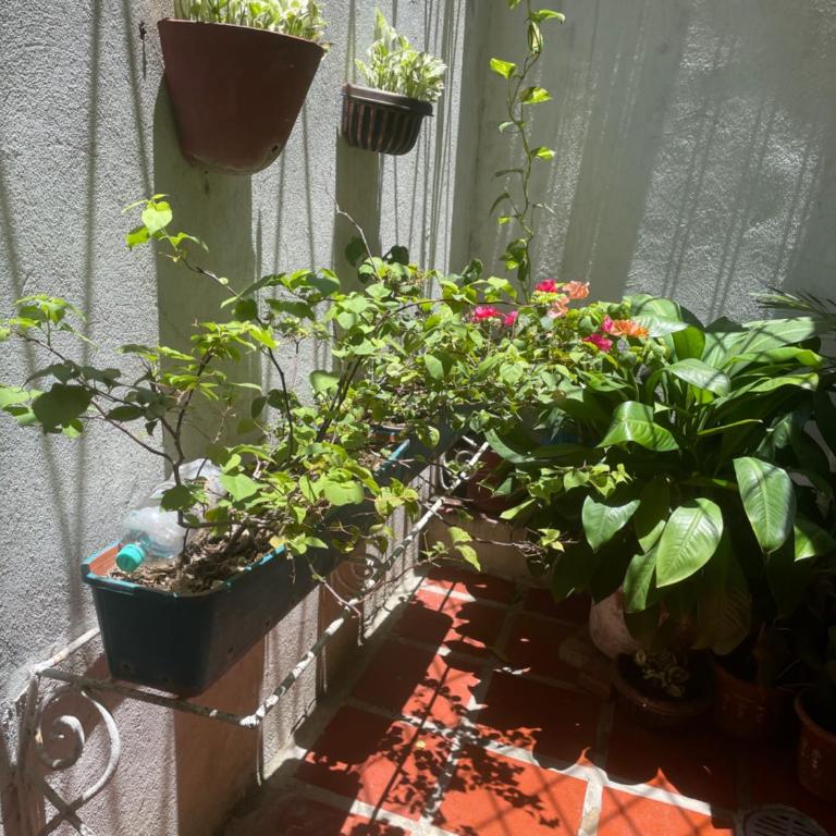 Casa Vilmar Getsemani - Double Room with Private Bathroom - 9