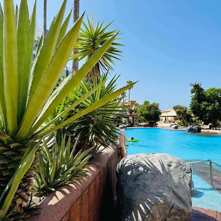 Ocean view Tenerife - Apartamento de 1 dormitorio - 18