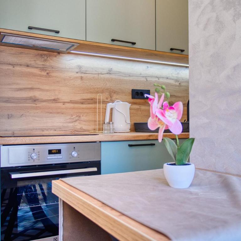 Lepenička Luxe - Premium Apartments - Deluxe One-Bedroom Apartment - 1