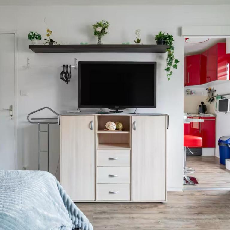 Petit Oasis à Strasbourg - Apartamento de 1 dormitorio - 9