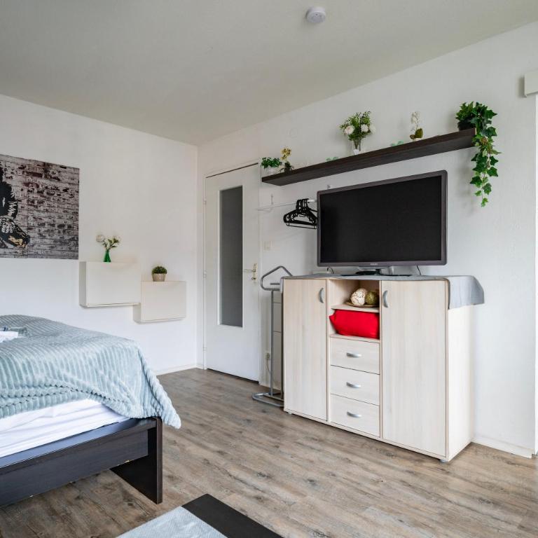 Petit Oasis à Strasbourg - Apartamento de 1 dormitorio - 4