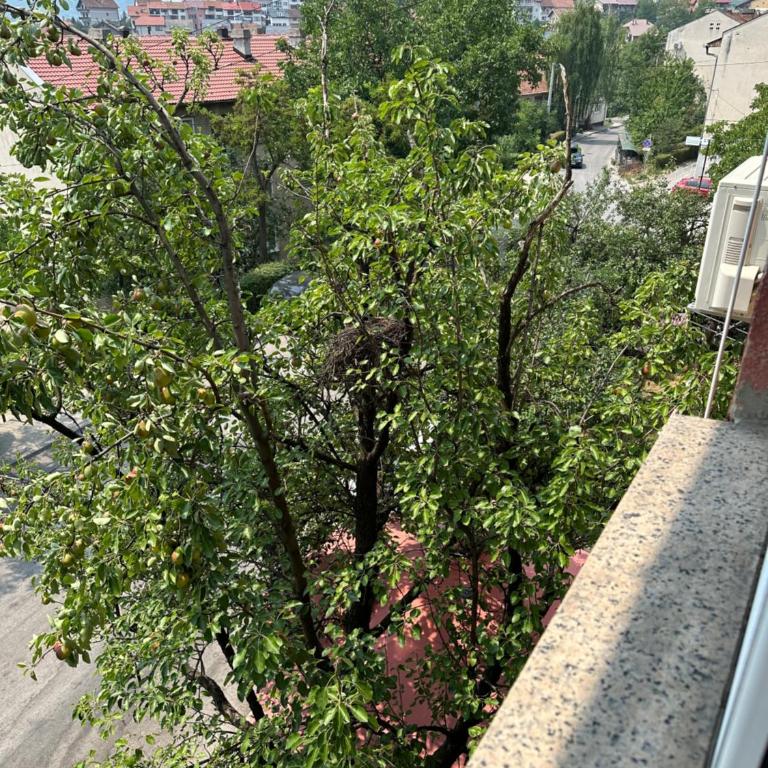 Stan Dino - Appartement 1 Chambre - Vue sur Ville - 2