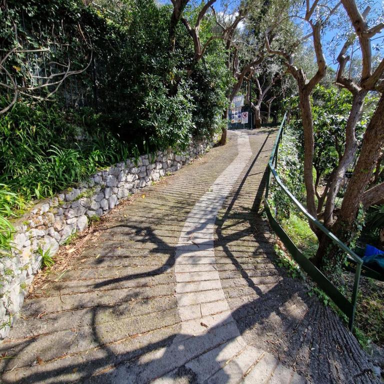 Amore Rentals - Villa Lo Scoglio - Villa Fronte Spiaggia - 56