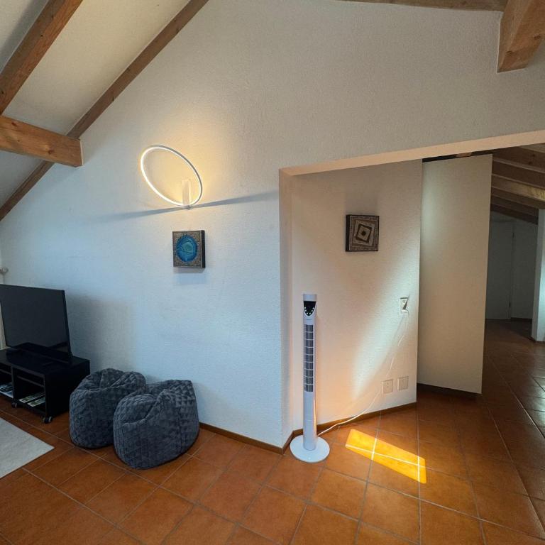Special apartment in Ascona - Appartamento con 1 Camera da Letto - 19