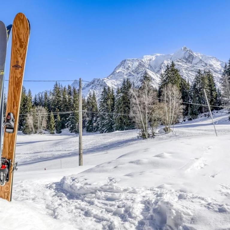 Chalet le Plane - Chalet 3 Chambres - 11