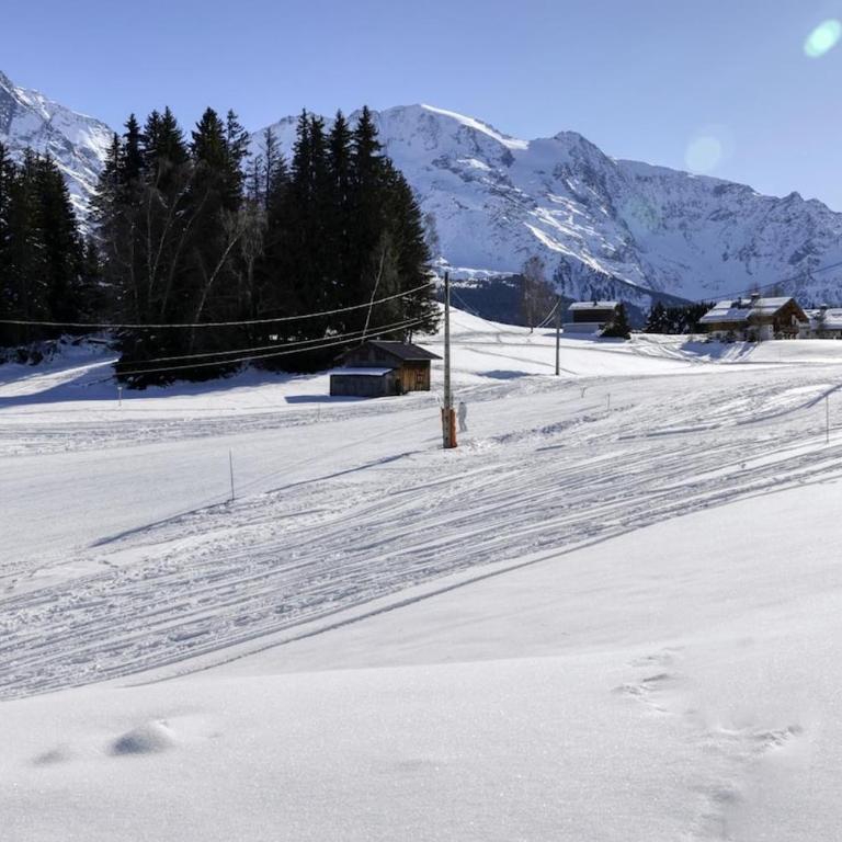 Chalet le Plane - Chalet 3 Chambres - 13