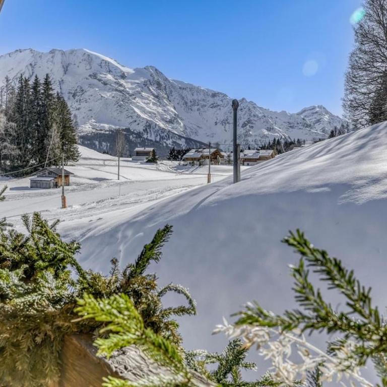 Chalet le Plane - Chalet 3 Chambres - 21