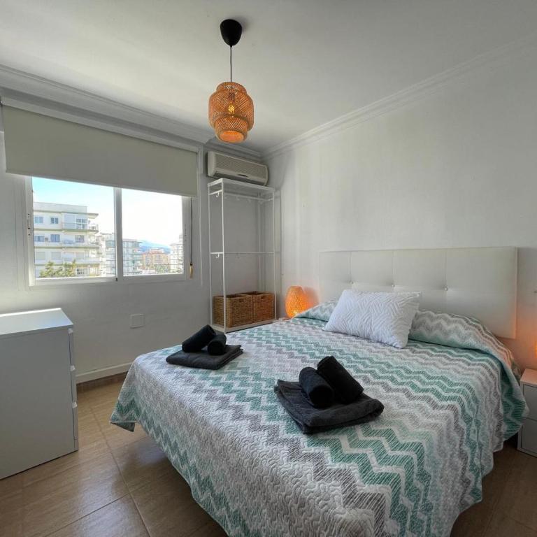 Terrasol Berlin 8ª Planta - One-Bedroom Apartment - 8