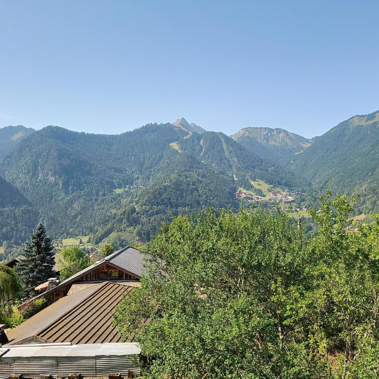 Chalet Josapiar - Chalet 3 Chambres - 8