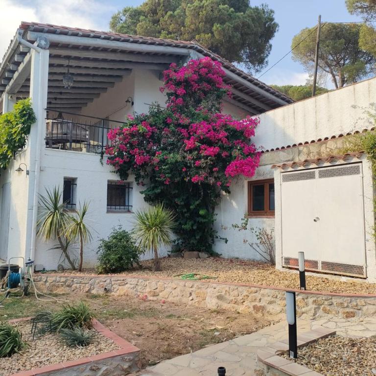 Maison de charme sur la Costa Brava - Casa de 2 dormitorios - 12