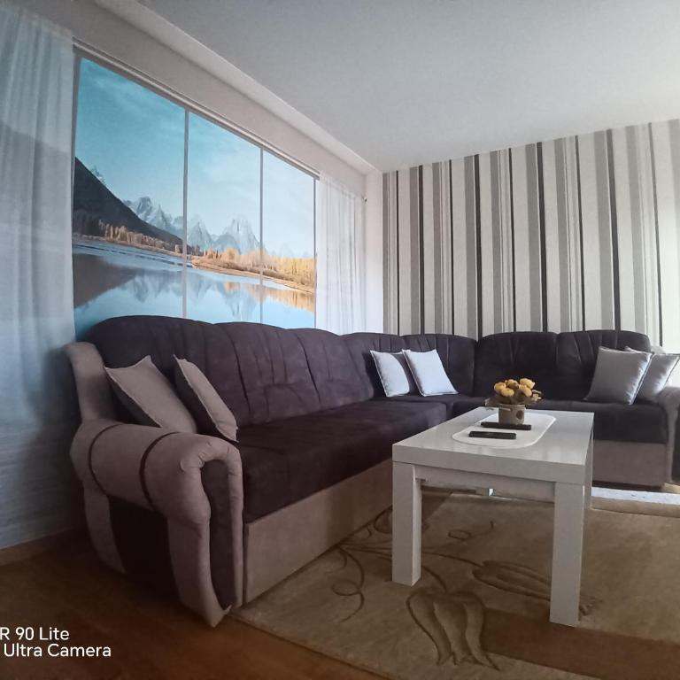 Apartman Miljković - One-Bedroom Apartment - 1