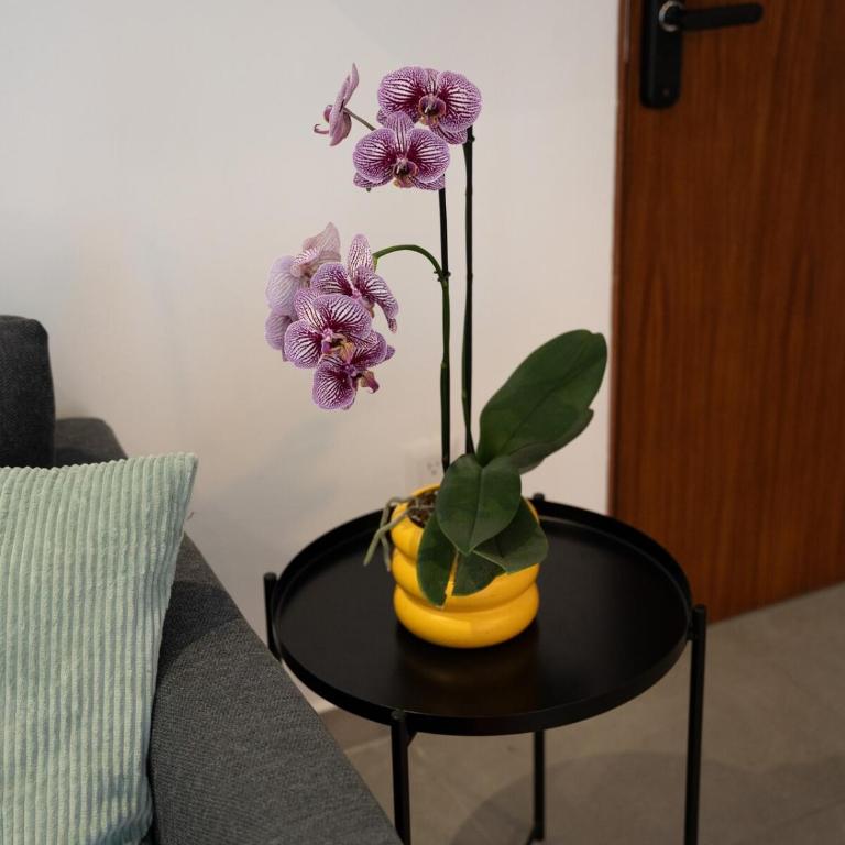 Serra Hospedajes Colón - Two-Bedroom Apartment - 20