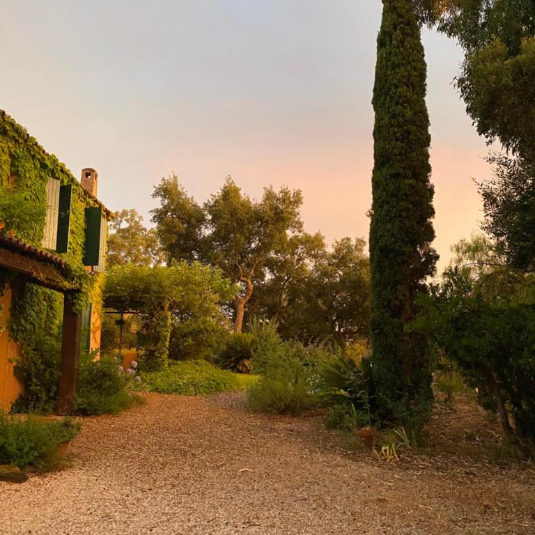 Les Arbousiers - villa climatisée avec piscine, au calme - Villa mit privatem Pool - 22