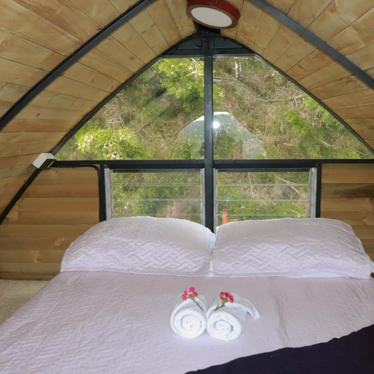Lakeside Glamping with View Fire Pit Hammock - Casa con 1 dormitorio - 20
