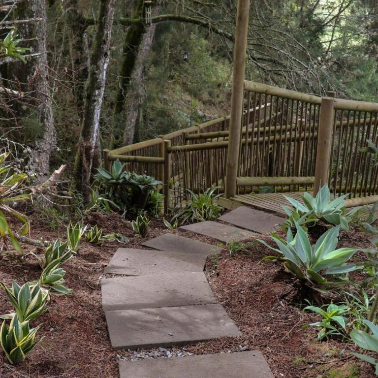 Lakeside Glamping with View Fire Pit Hammock - Casa con 1 dormitorio - 31