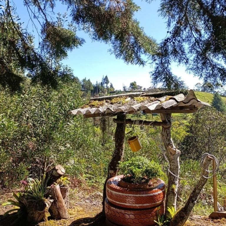 Lakeside Glamping with View Fire Pit Hammock - Casa con 1 dormitorio - 59