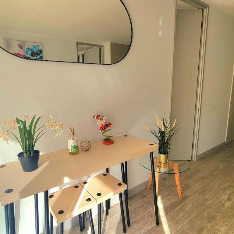 Depto 2 dormitorios nuevo a pasos de Club Hípico - Apartamento de 3 dormitorios - 10