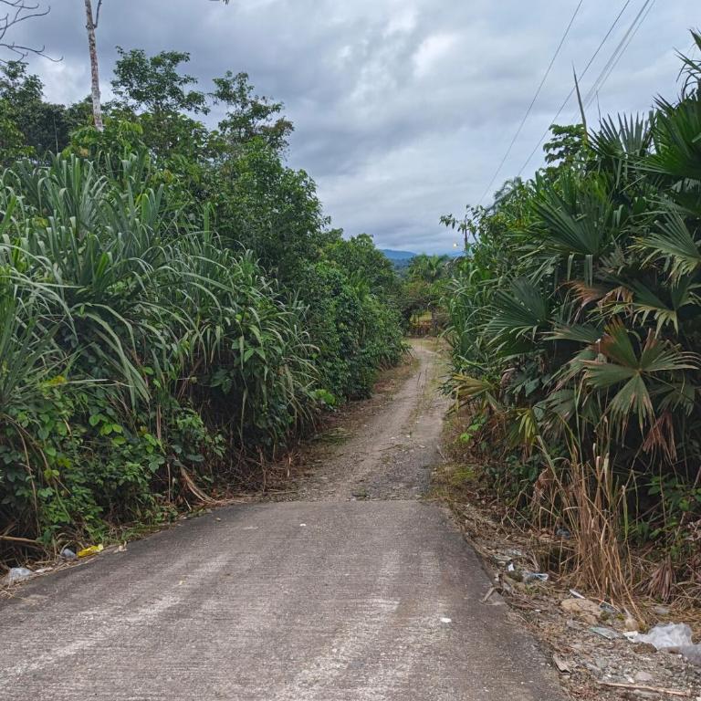 Finca Inti Wasi - Two-Bedroom House - 10