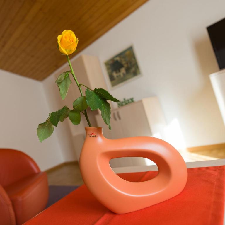 Postgebäude - Studio-Apartment mit Balkon und Bergblick (22) - 4