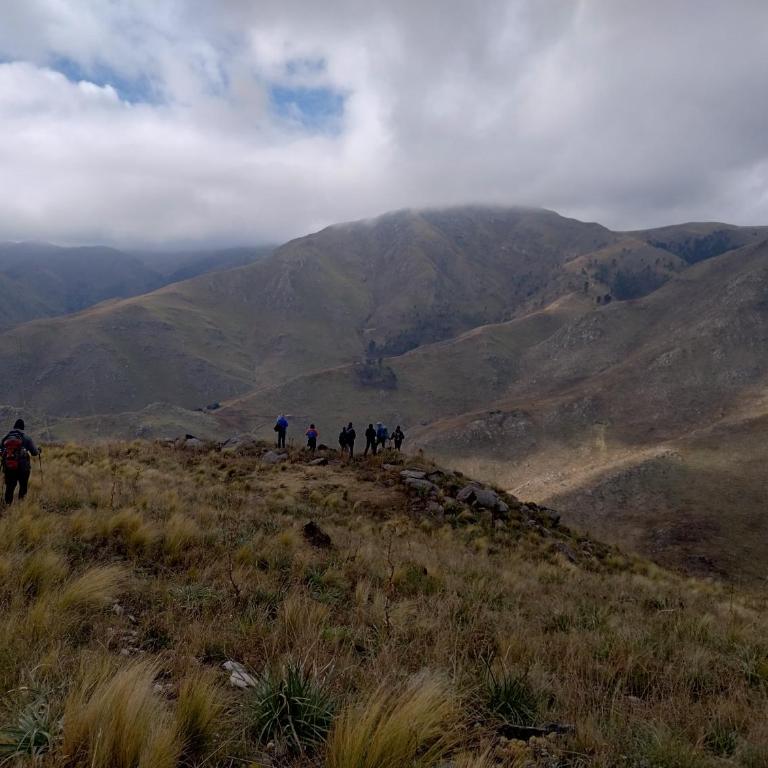 Estrella Vladimir Hostel - Quadruple Room with Garden View - 15