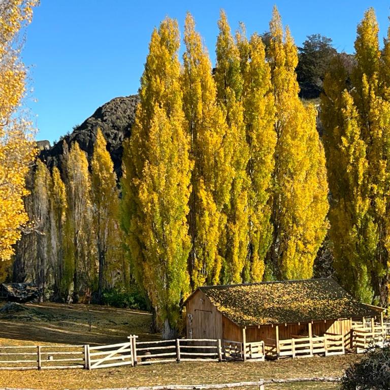 Casa El Puesto Patagonia - Two-Bedroom Chalet - 61