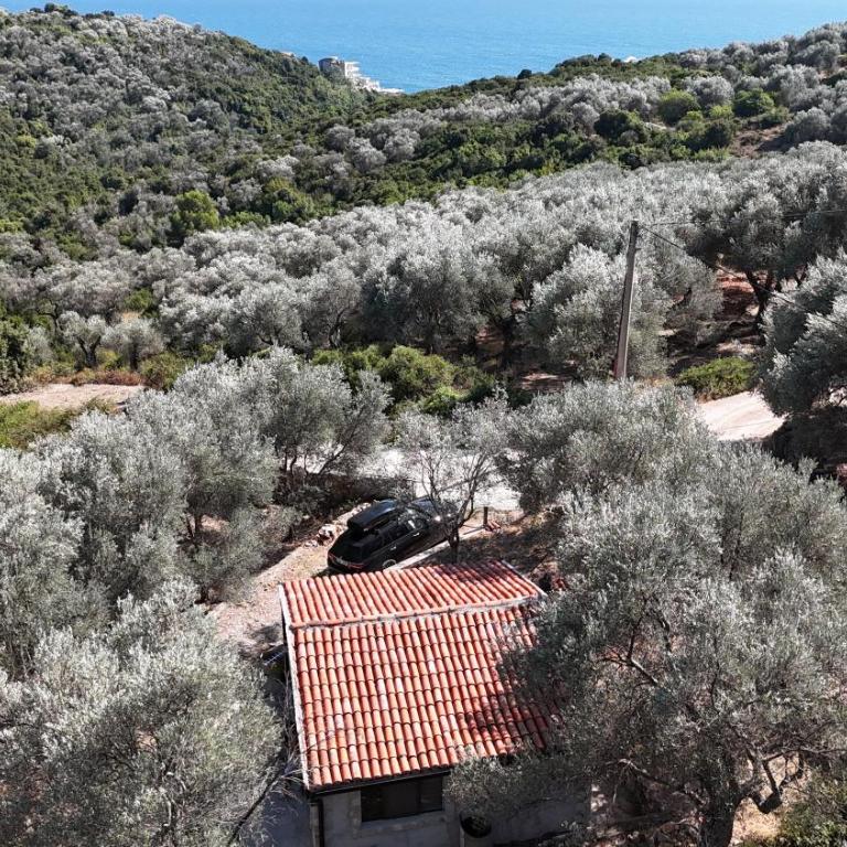 Olive stone house, Ulcinj - Vikendica - 15