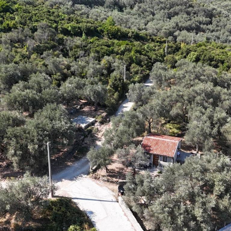 Olive stone house, Ulcinj - Vikendica - 13